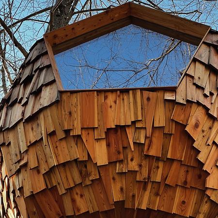 T'Glamp Bee House Hotell Rovte Exteriör bild